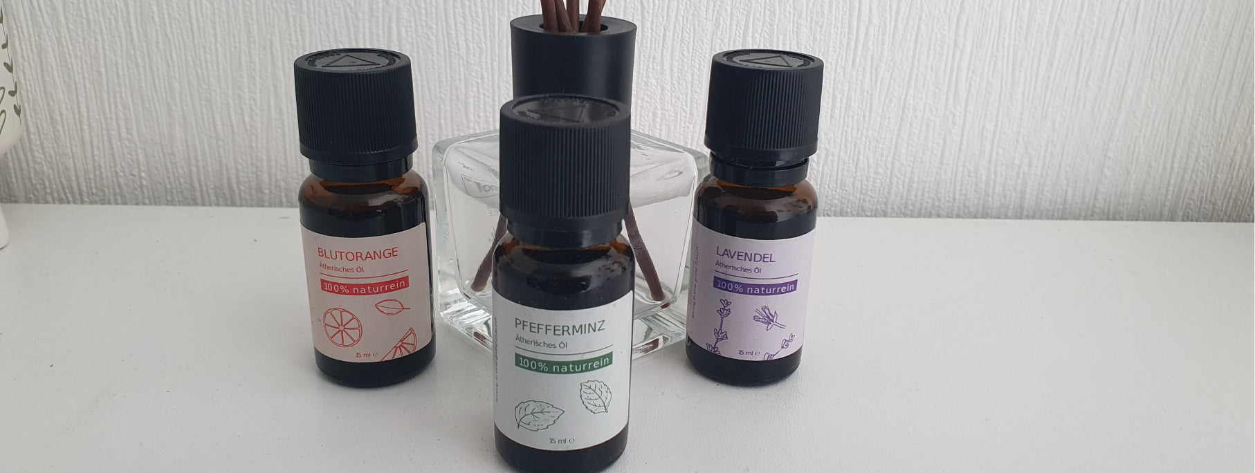 Anwendung von therischen len | Top 6 Anwendungstipps GRASHPFER Anwendung von therischen len | Top 6 Anwendungstipps GRASHPFER
