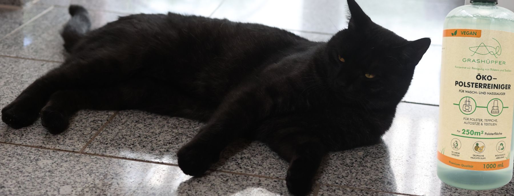 Die schwarze Katze liegt glücklich auf dem Boden, daneben steht der Öko-Polsterreiniger von Grashüpfer.