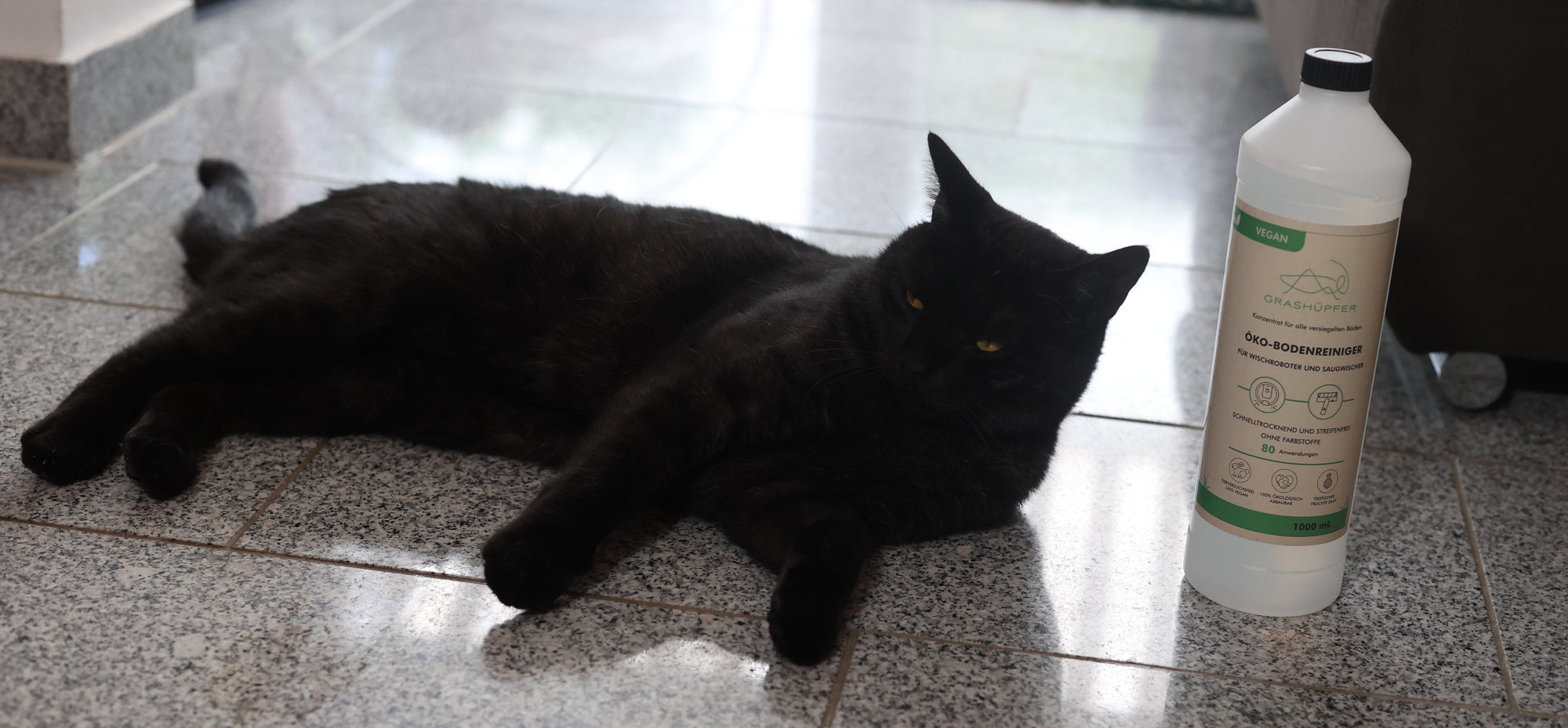 Eine schwarze Katze liegt total entspannt und glücklich auf dem Steinboden, nachdem er mit einem tierfreundlichen Grashüpfer Öko-Bodenreiniger für Wischroboter und Saugwischer gereinigt wurde.