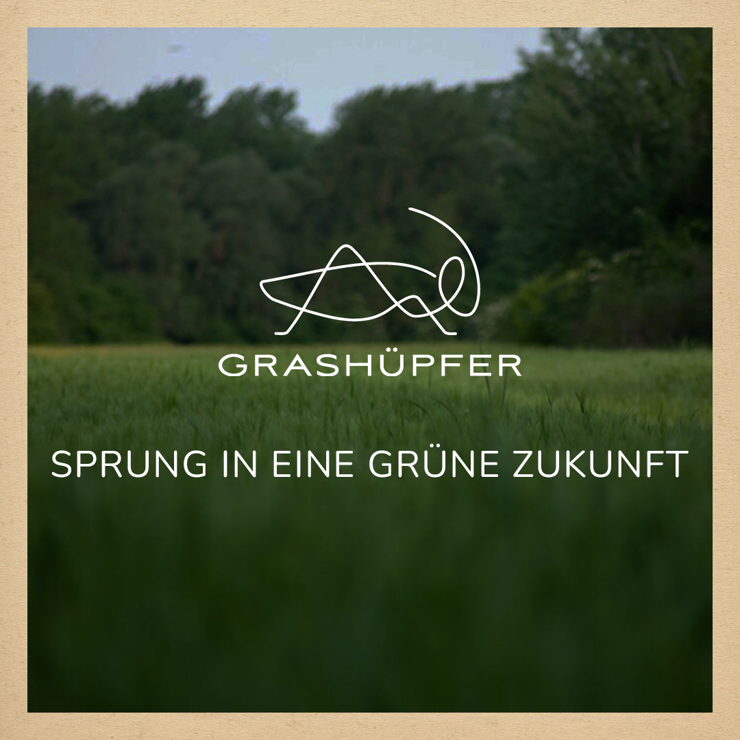 Das Grashüpfer Logo ist auf einer grünen Wiese zu sehen, mit dem Firmen-Slogan: "Sprung in eine grüne Zukunft".