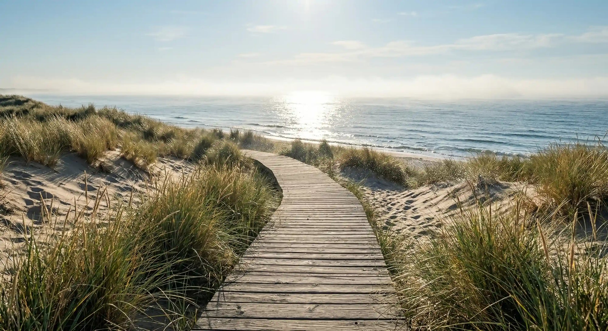 Küstenbrise: Holzsteg durch Dünen zum Meer bei Sonnenschein, maritimes Duftmotiv für den probiotischen Öko-Wischroboter-Reiniger Küstenbrise als Geruchsentferner für Tierhaushalte.