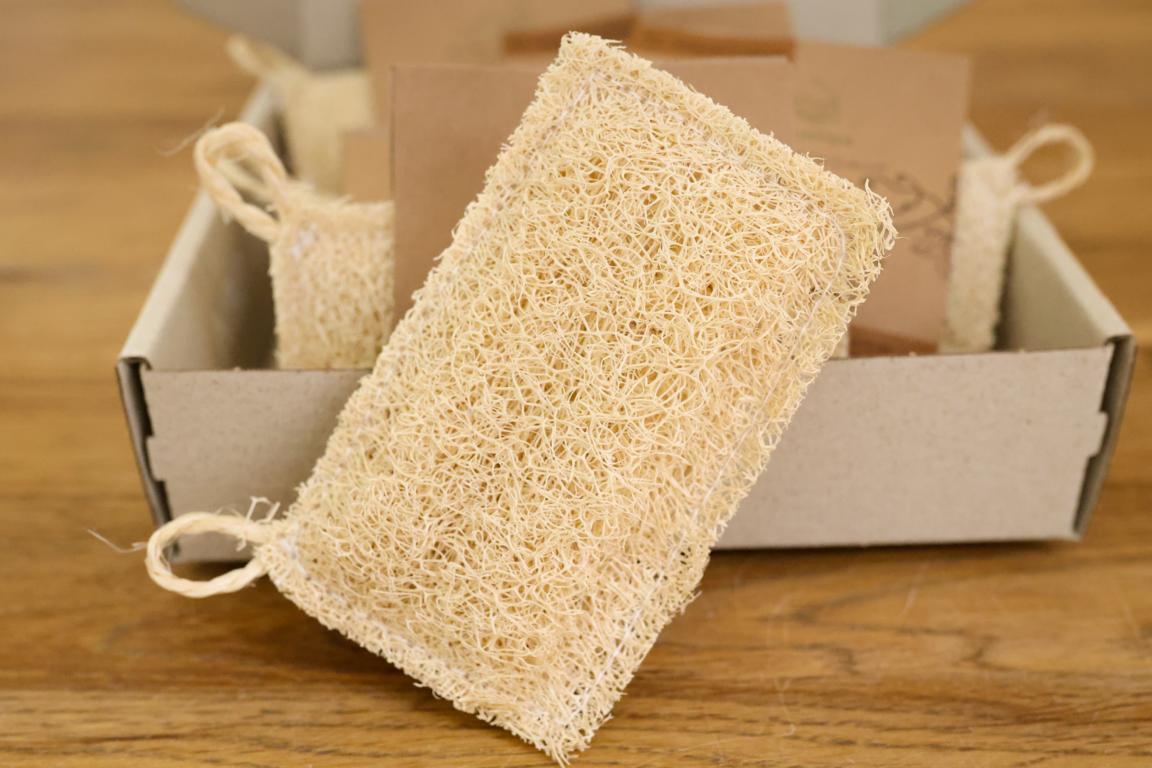 Der Luffa Schwamm von Grashüpfer steht angelehnt und ausgepackt und die Verpackung wo noch 4 weitere Luffa-Schwämme von Grashüpfer liegen.