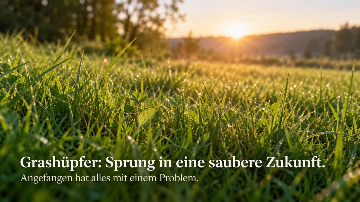 Grüne Wiese im Morgenlicht mit der Botschaft „Grashüpfer: Sprung in eine saubere Zukunft“ als Einstieg in die Entstehungsgeschichte der Marke.