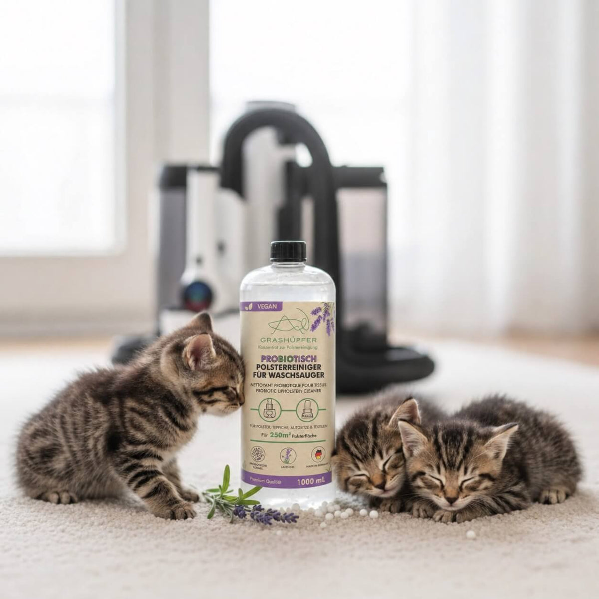 Probiotischer GRASHÜPFER Polsterreiniger Lavendel für Waschsauger neben Katzen auf einem hellen Teppich.