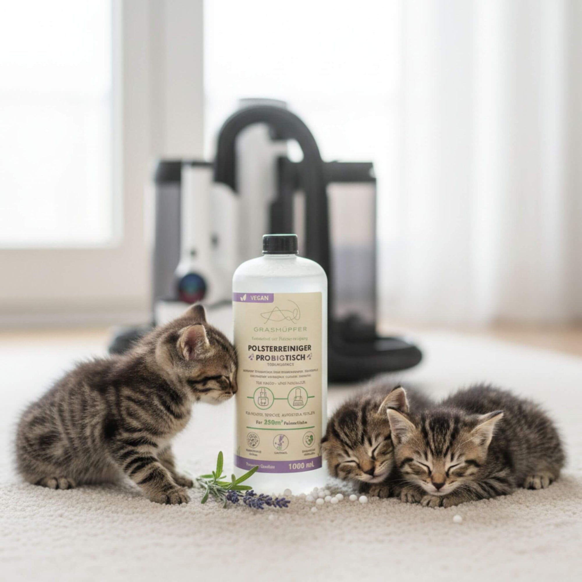Der Probiotische Öko-Polsterreiniger & Geruchsentferner von Grashüpfer ist in der 1000ml Flasche zu sehen, kleine Kätzchen sitzen daneben und schlafen, da er sehr mild und natürlich und für Haustierhaushalte geeignet ist. 
