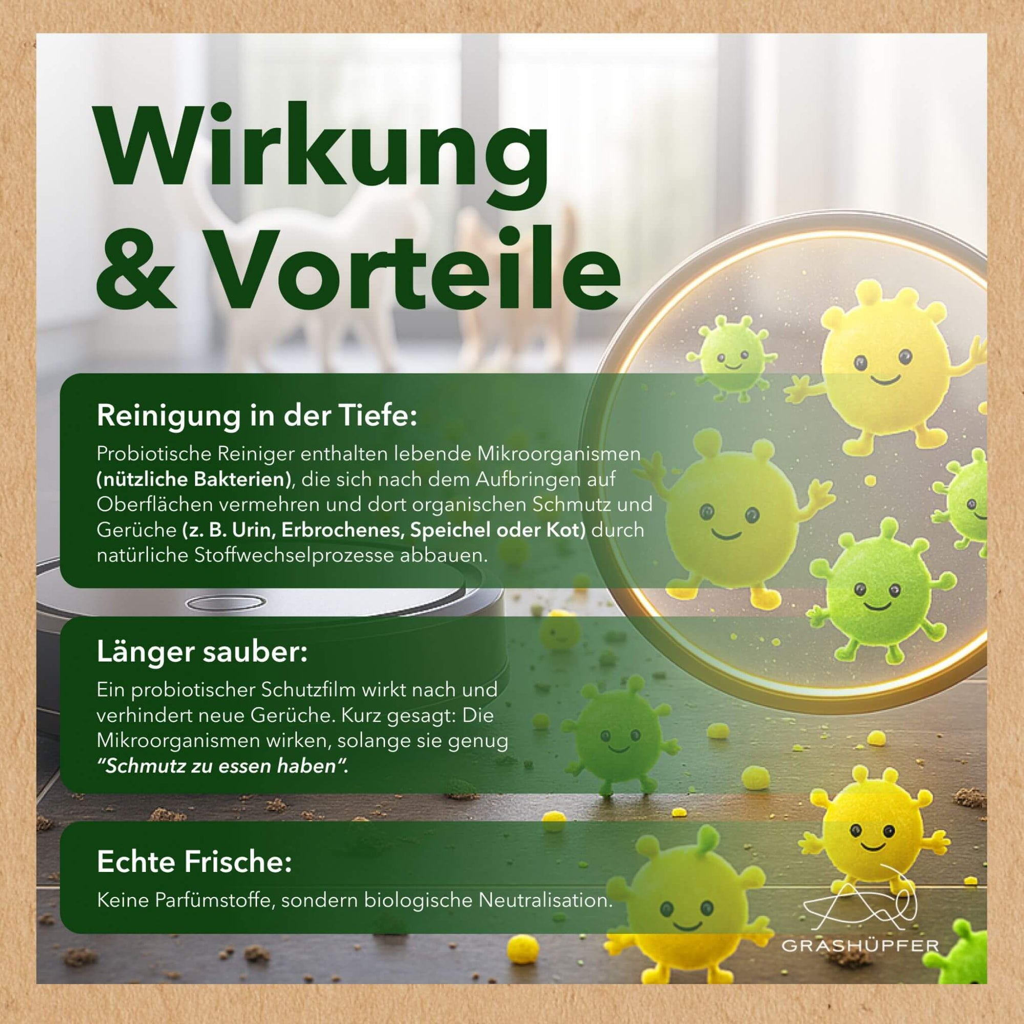 Die Wirkung und die Vorteile vom Probiotischen Öko-Polsterreiniger & Geruchsentferner von Grashüpfer werden in kurzen Stichpunkten erklärt. 